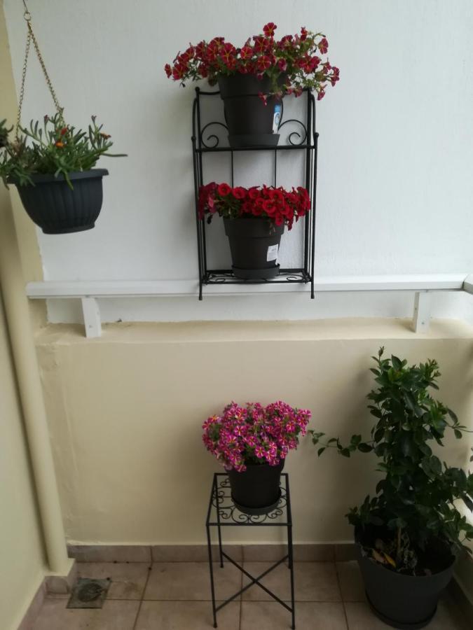 Apartment Ey Zhn Néa Khilí Exteriér fotografie